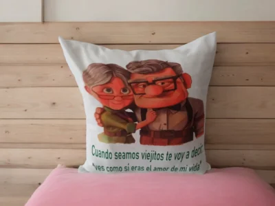 Cojín Carl y Ellie