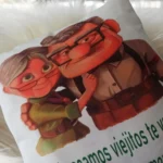 Cojín Carl y Ellie