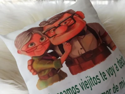 Cojín Carl y Ellie